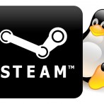 Steam Linux